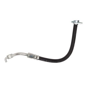 Honda Civic Brake Hose - Rear - R1 Concepts - `16-`22